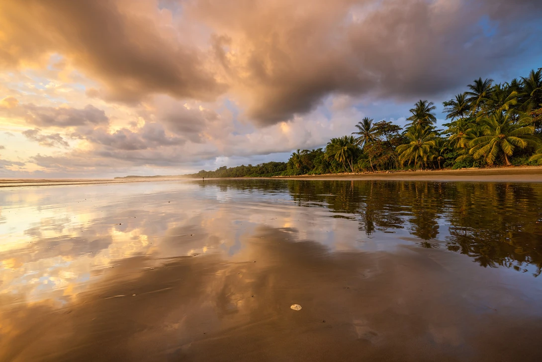 Uvita Reflection