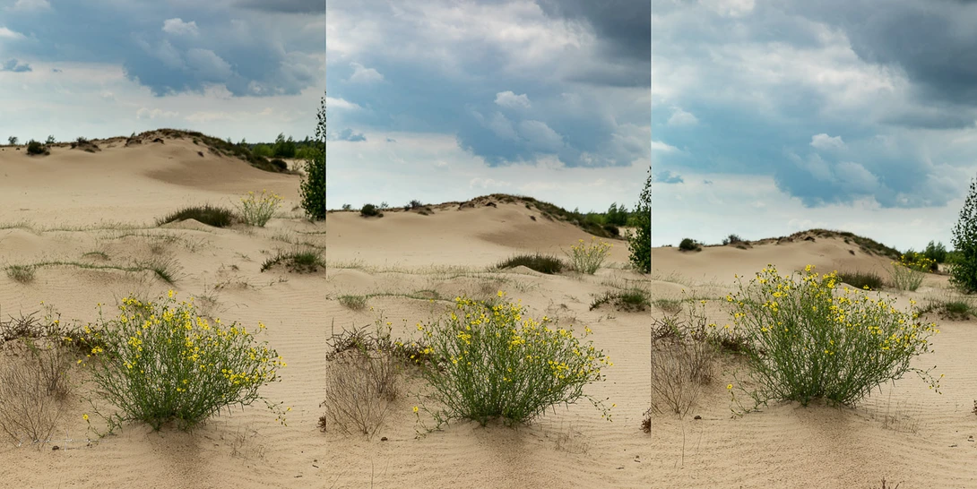 The height of a camera allows you to manipulate the area that is filled with the subject. A vertical image will allow more room for filling the frame