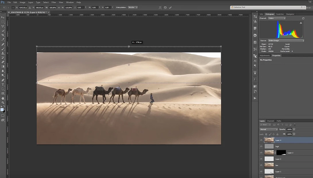 Selective Image Transformation