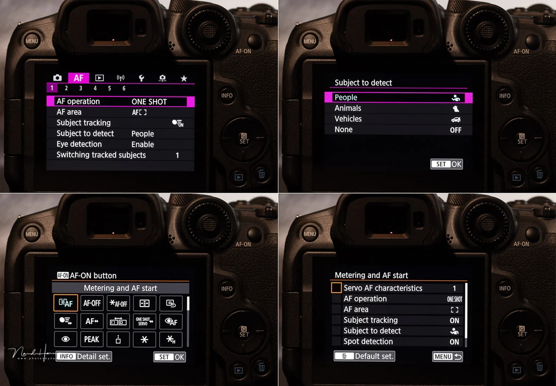 The menu is similar to every other Canon EOS mirrorless camera. Here shown are some of the AF menu's and customization options.