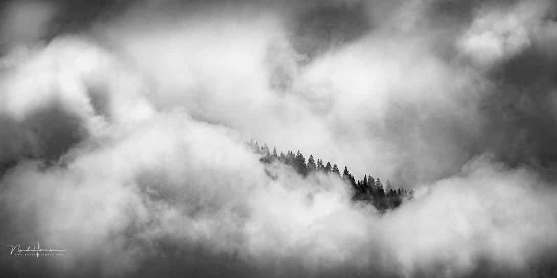 A mountain top in the clouds, shot in Austria. Is the absence of color limiting in any way? Personally, I don't believe it is.