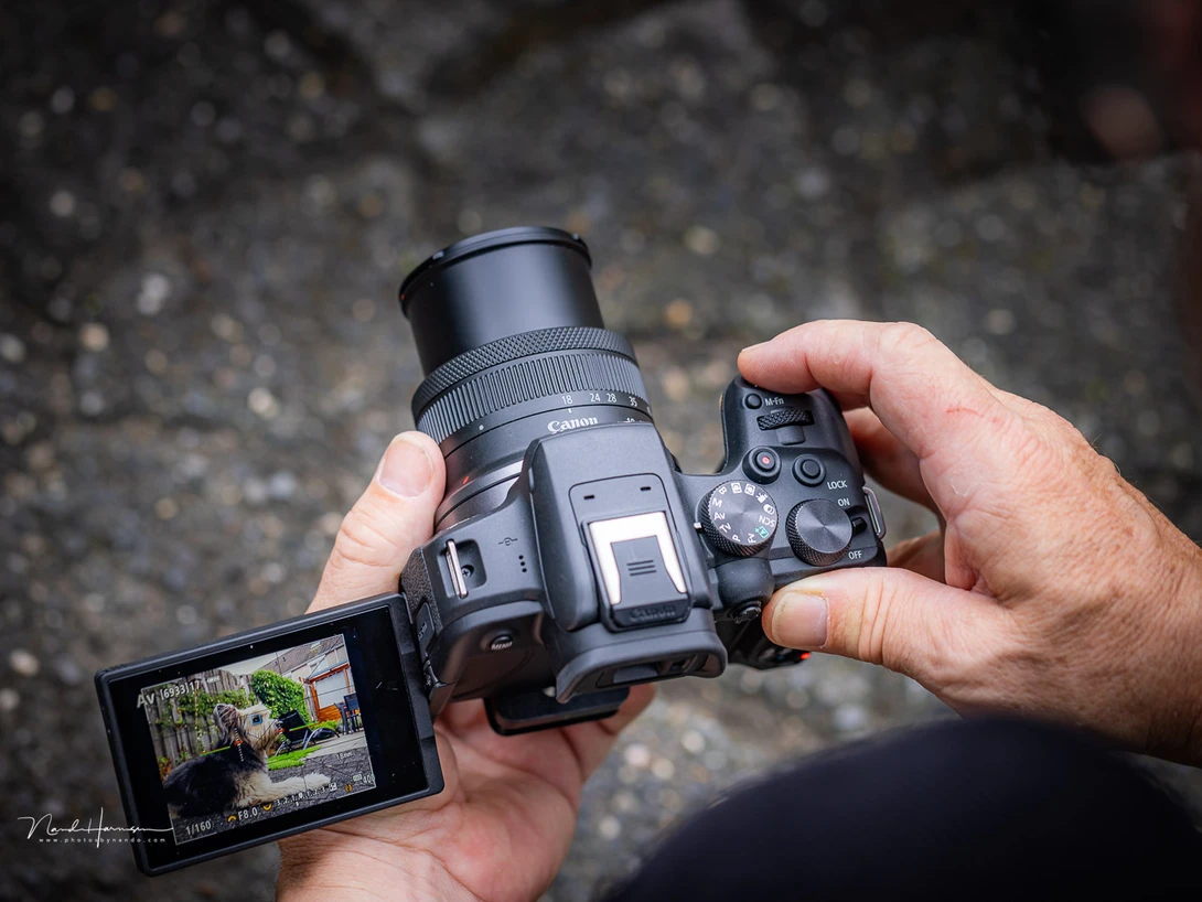 I did enjoy using the Canon EOS R10 more than I expected. It's a little gem.