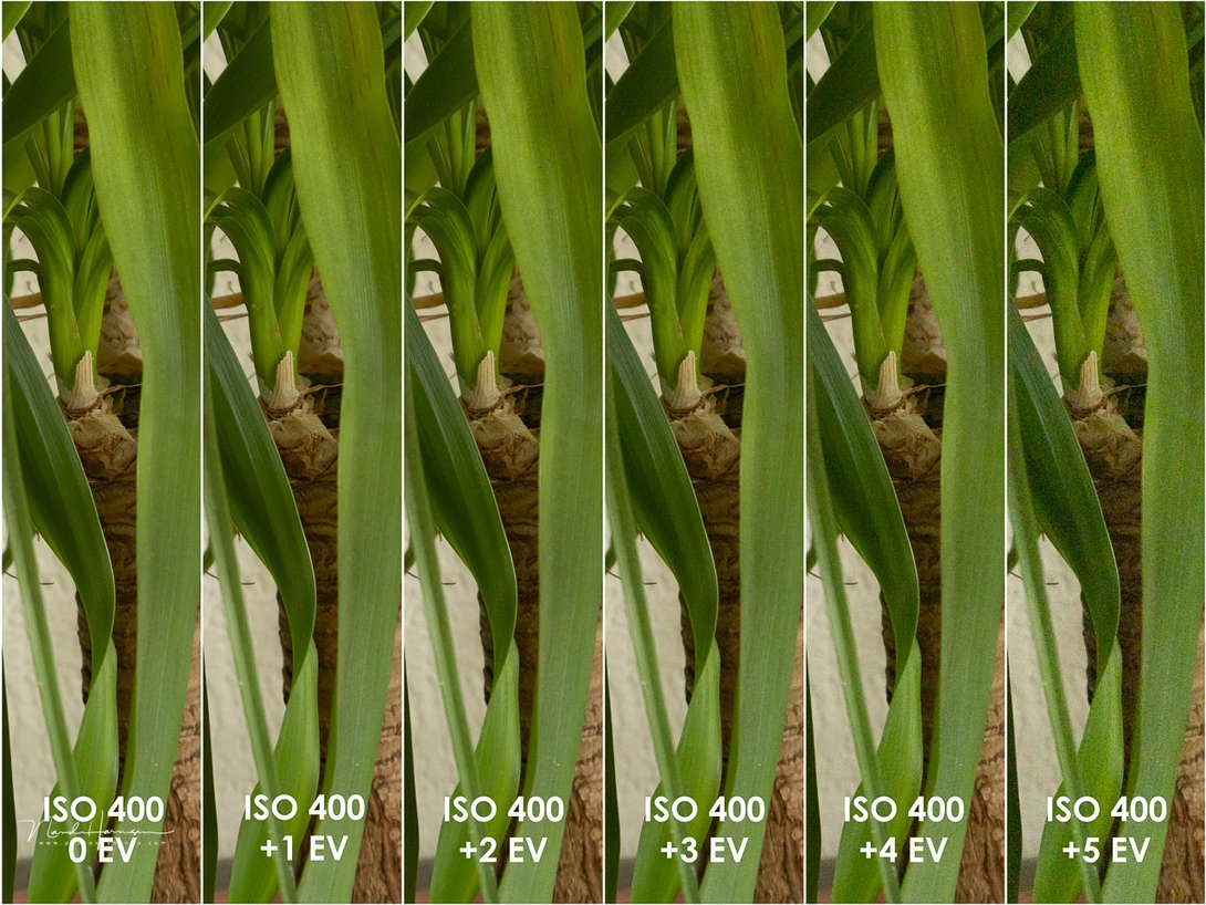 How much can you recover when under exposed? Decide for yourself. Compare the noise level to the ISO test.
