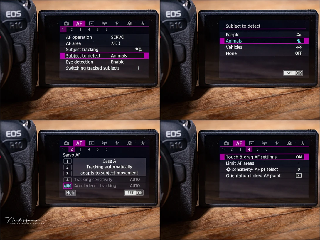 Although an entry level camera, the options for autofocus looks pretty professional.