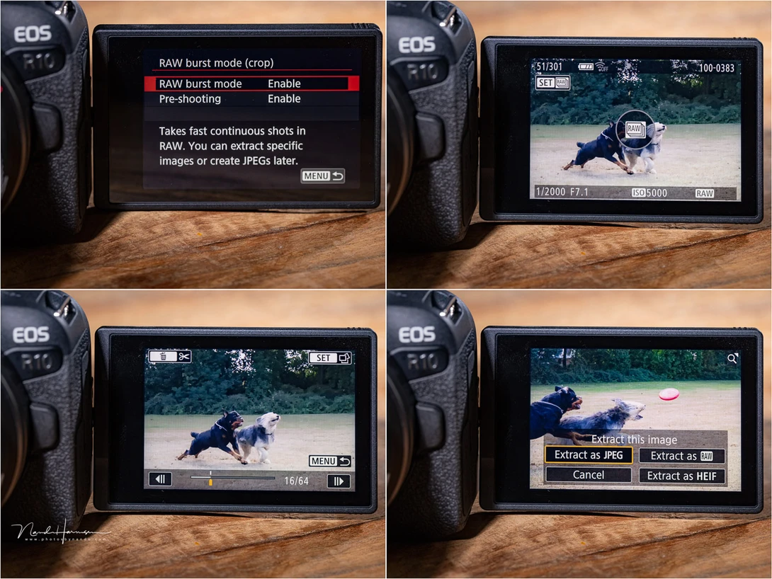 If 23fps isn't enough, switch over to raw burst modes and you have 30fps with pre-shooting. It offers up to 15 frames before you fully press the shutter release button.&nbsp;