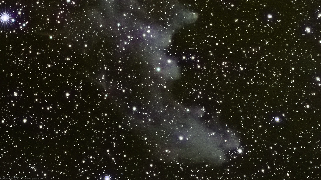 Deep-sky photograph of a nebula surrounded by dense star field with dark dust clouds.