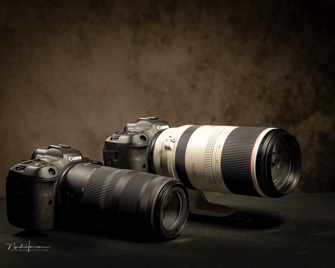 The RF100-400mm next to the RF100-500mm L-lens. Which one would to prefer to carry with you on a hike?