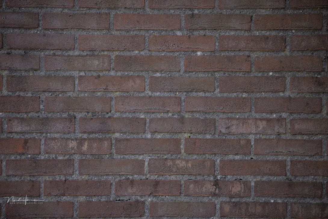 There is a bit of pincushion effect at 100mm focal length, and some vignetting, but nothing shocking. The lens correction is turned off for this example.