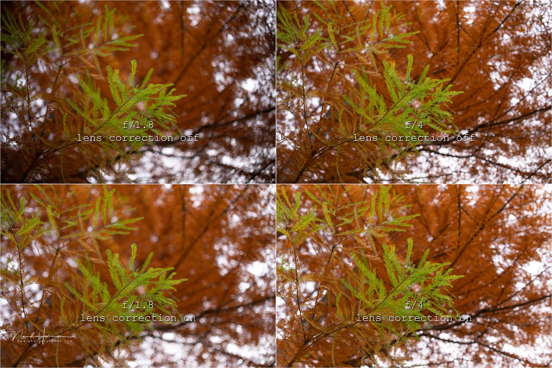 The vignetting and sharpness in a real life situation. The lens correction makes it quite a useful lens.
