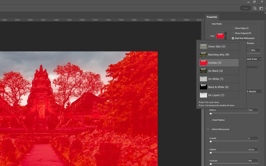 Photoshop Select and Mask View Mode
