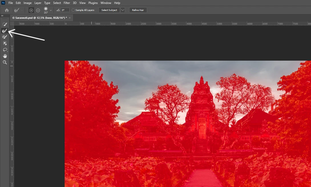 Photoshop Refine Selection Brush