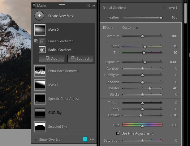 Screenshot of photo editing software showing Radial Gradient adjustment panel with multiple masks and settings.