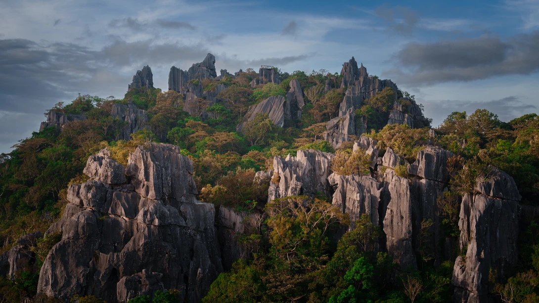 Dramatic limestone rock formations rising from dense forest canopy under cloudy sky.