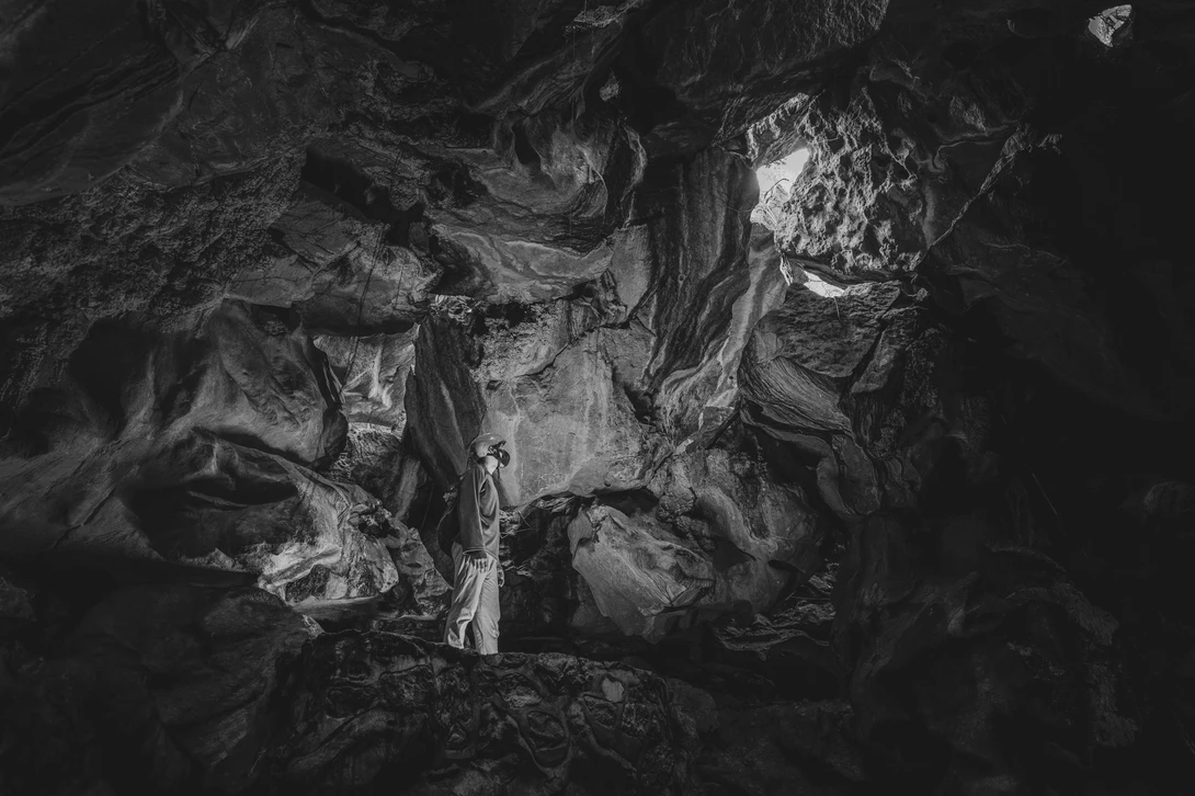 High-contrast black and white photograph of organic, flowing forms with dramatic shadows and highlighted textures.