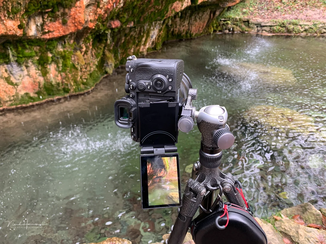 Shooting in the field with the Sony A7R V was fun. It's a great camera.