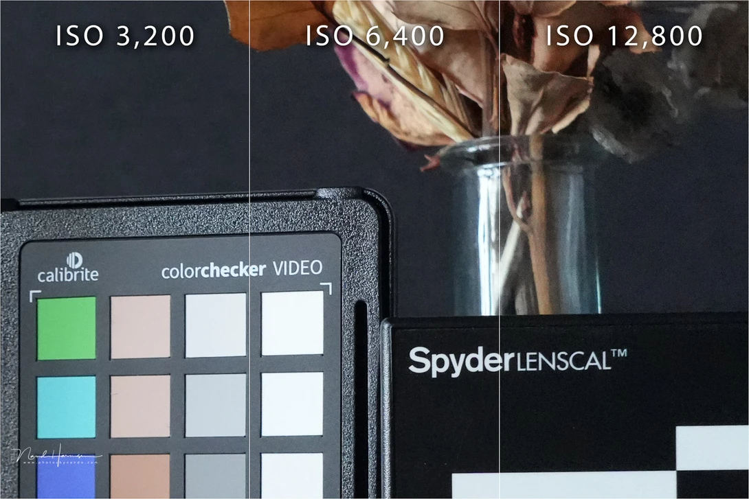 The ISO performance at higher ISO settings. This is a crop (reduced size) and in-camera jpeg