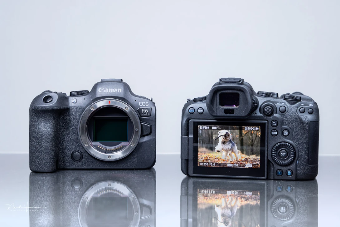The Canon EOS R6 mark II.&nbsp;