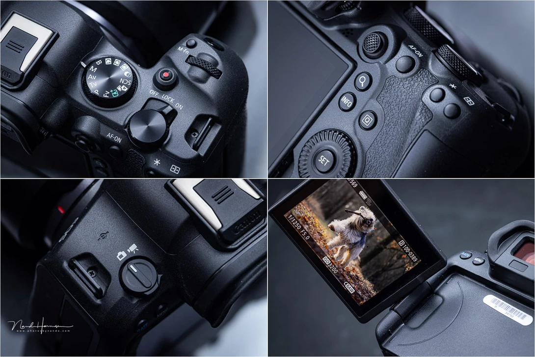 An overview of the buttons and dials on the Canon EOS R6 mark II