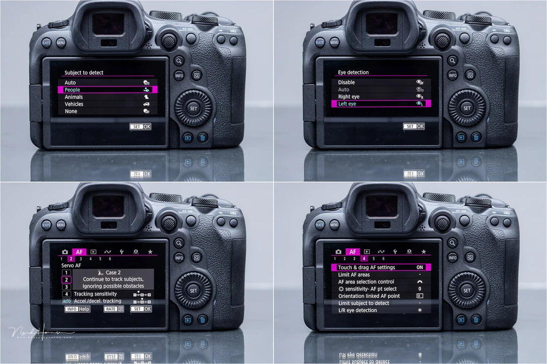 The AF can be set to human, animal (dogs, cats, horses, birds) or vehicle (race cars, motor bikes, air planes, and trains). Or you can let the camera choose for itself.