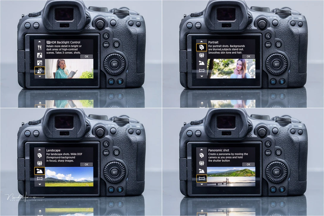 The picture styles are for the ones who shoot in jpeg.&nbsp;