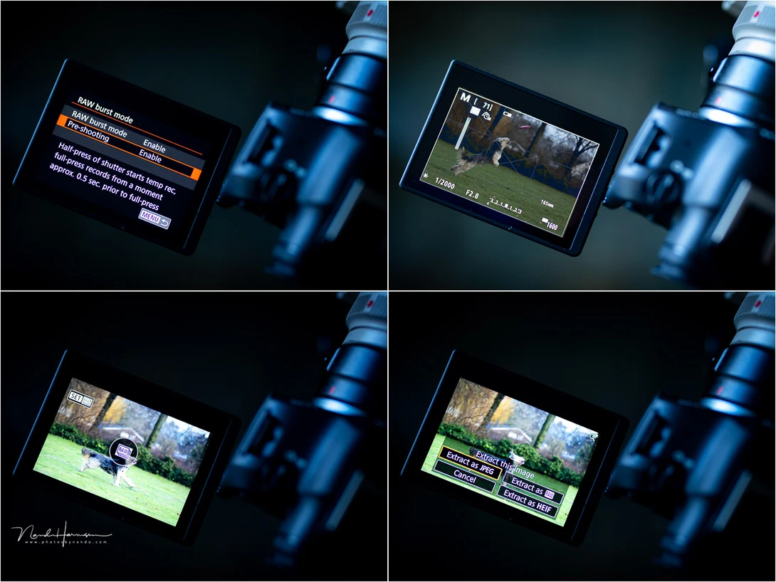 The raw burst option allows pre-shooting. This will record 0.5 seconds worth of images before you start shooting.
