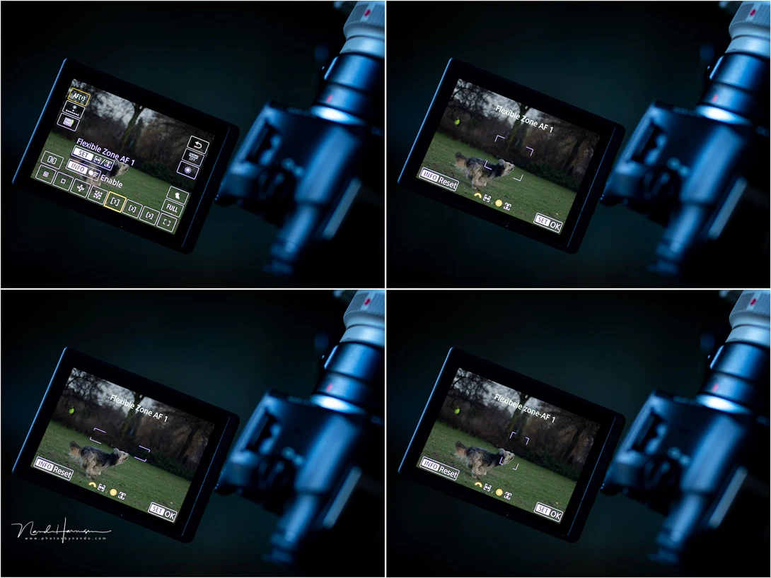 The flexible zone AF allows you to make your own AF area. There are three programmable zone AF settings.The flexible zone AF allows you to make your own AF area. There are three programmable zone AF settings.