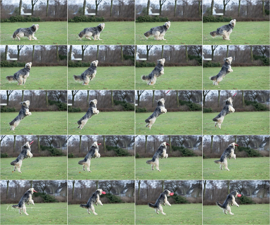 With 40 frames per second, almost no action is too fast. There is little rolling shutter effect as can be seen in this series of photos shot with the electronic shutter.