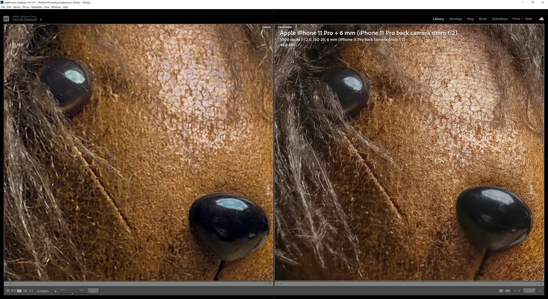 Close-up comparison of a horse's eye and muzzle showing texture detail, split between two iPhone 11 Pro shots with different focus points.