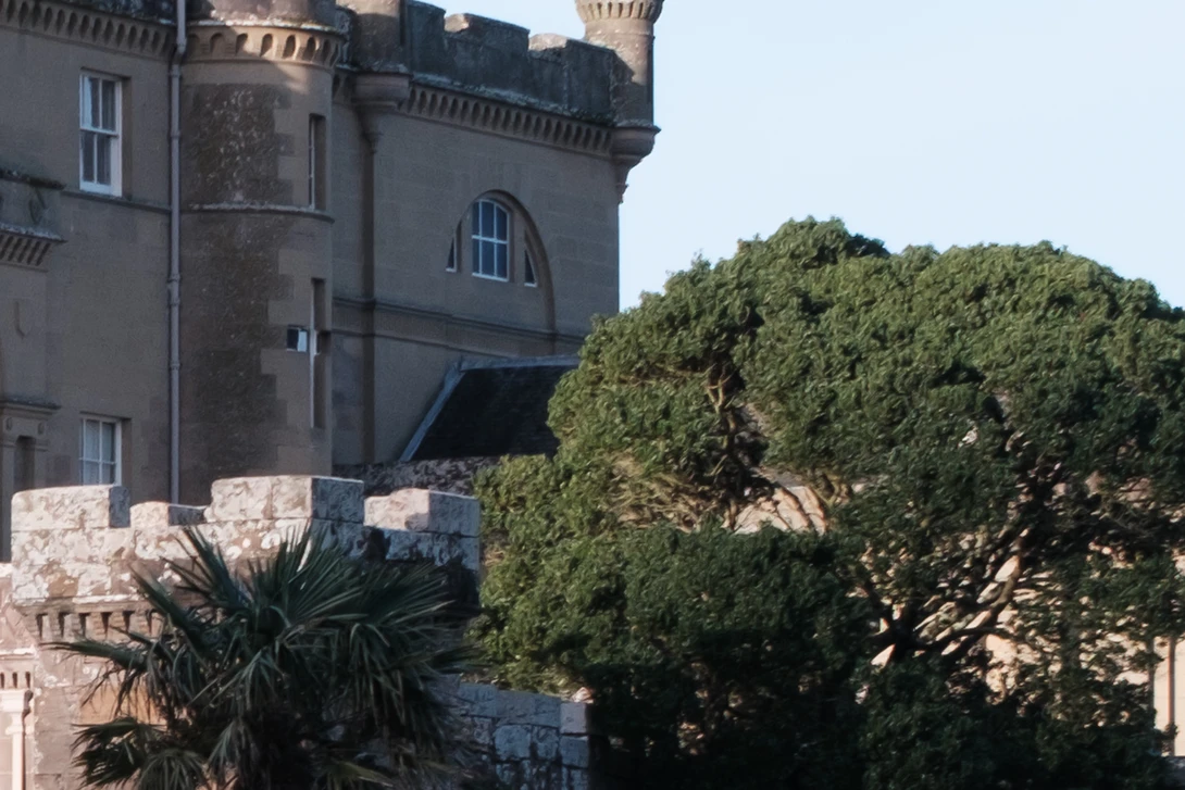 Stone castle tower with crenellations beside dense green topiary shrub against clear sky.