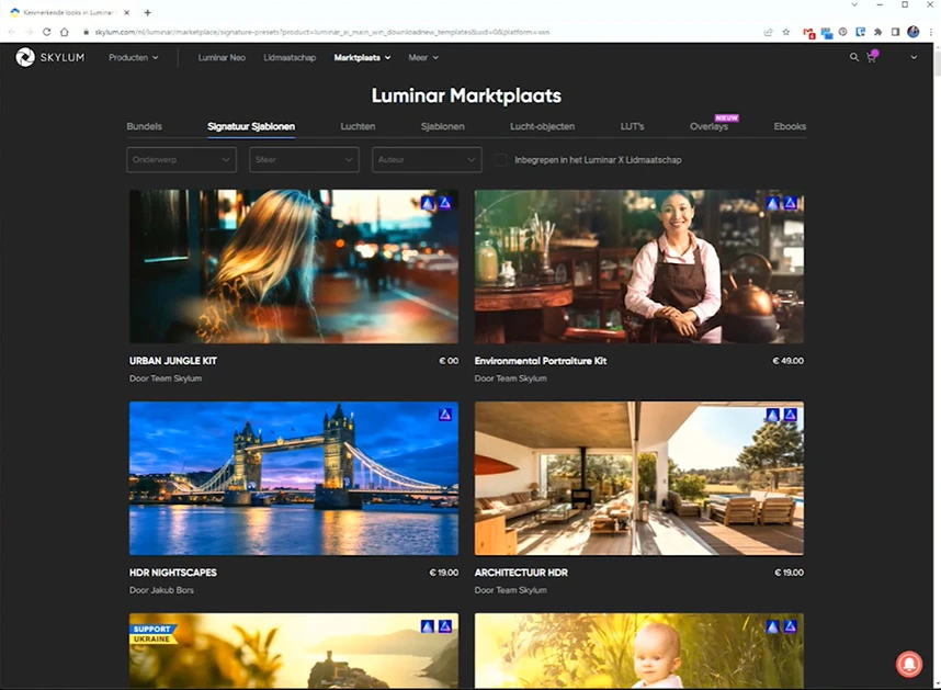 Luminar is trying to allure you into buying more and more presets. It makes it even more difficult finding the one you like the most.