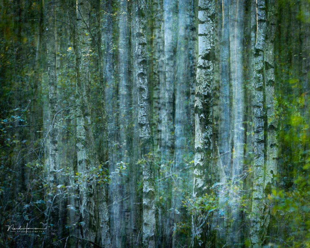 Double exposures can add a sense of movement to the image also. If fact, combine ICM photography with a sharp image, or an out of focus image with an in focus image.&nbsp;