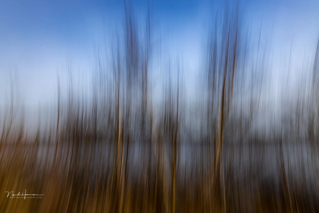 Intentional Camera Movement (ICM). It was fun to try at that moment, but it turns out to have something special, I think.