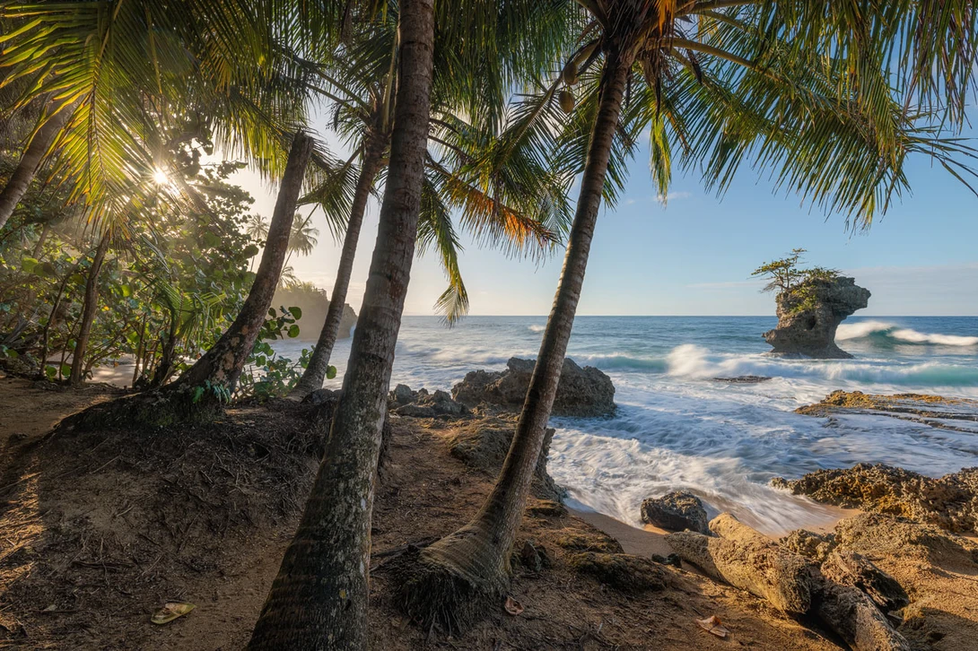 Caribbean Dream