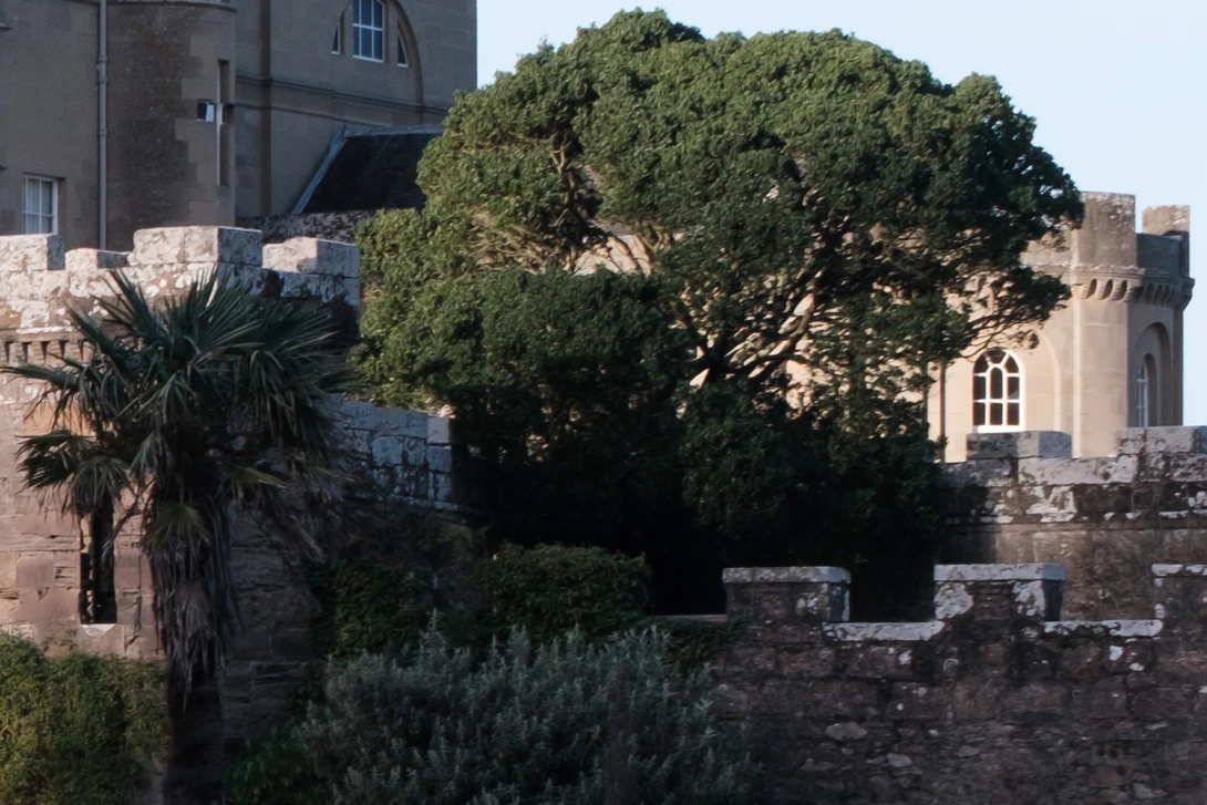 Historic stone fortification with crenellated walls, palm tree, and dense green tree against clear sky.