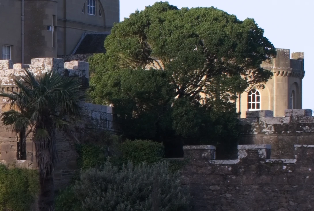 Stone fortification wall with crenellations, palm tree, and large leafy tree casting shadows on golden-hour lit castle structure.