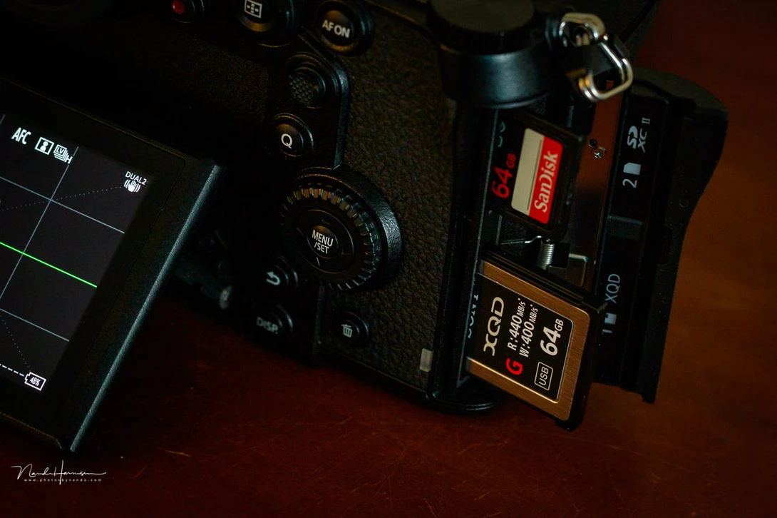 When shooting in raw you have to take the larger file size into account. Make sure you have enough memory space on your cards