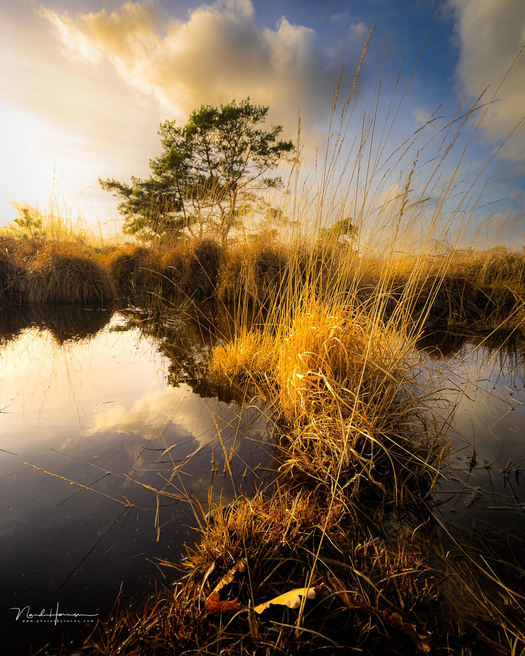 I think it's best to determine what is the most important in the frame and allow that part to fill most of the frame.