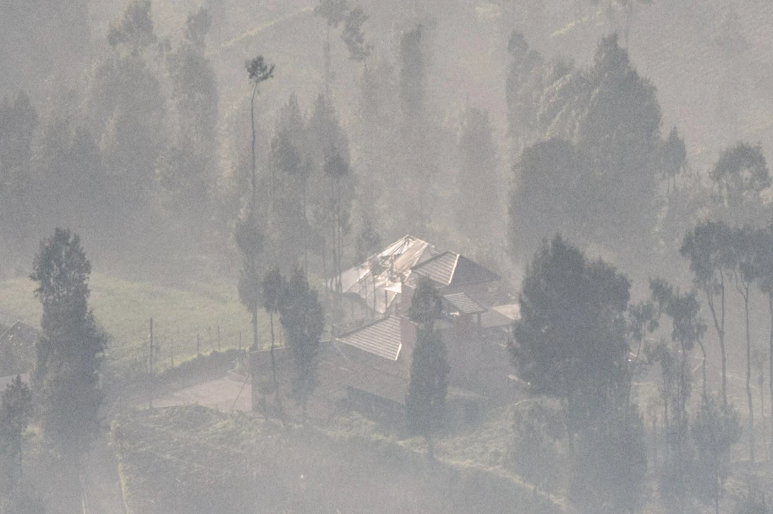 Cemoro Lawang Crop Before