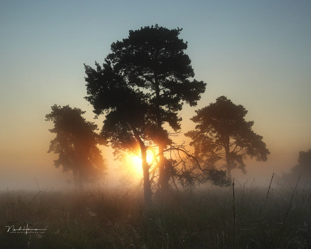 I took this image while strolling through the landscape. Nothing was planned, I just looked around to find nice compositions.