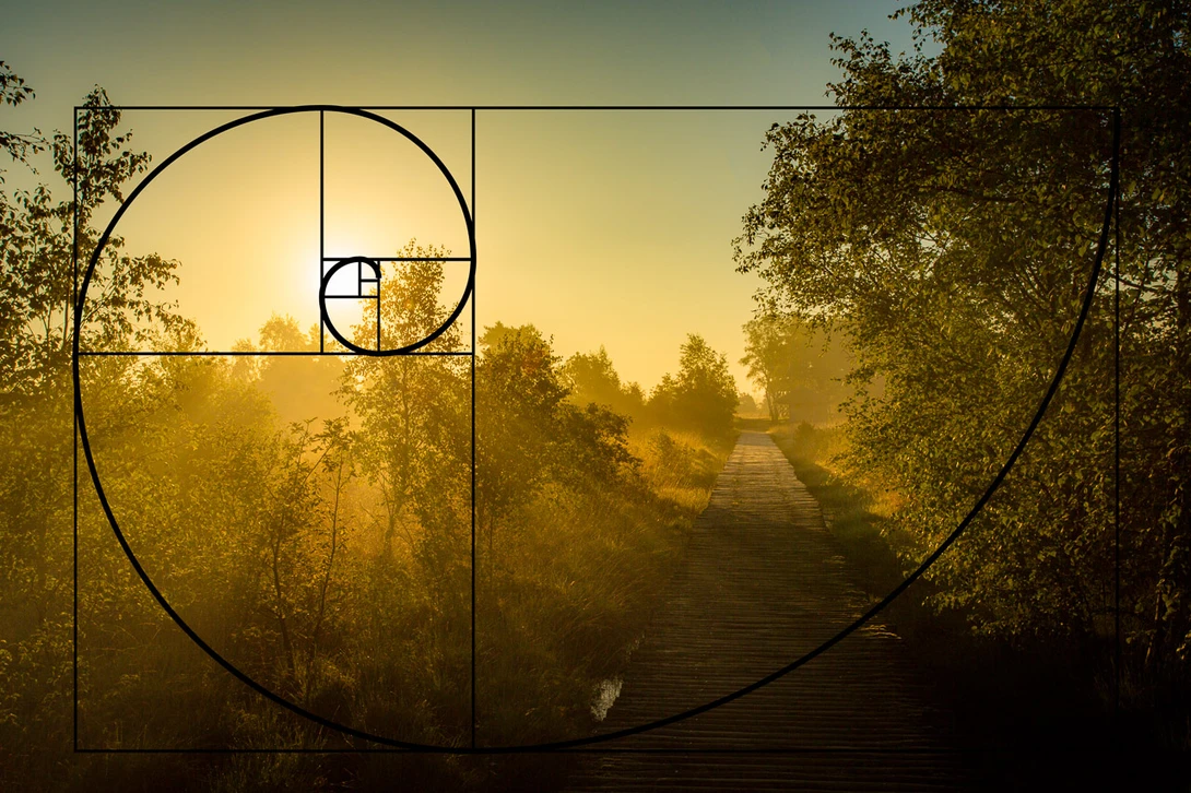 This has everything to do with composition techniques. It's the golden ratio and Fibonacci spiral. This can tell something about the distribution of elements in a frame.