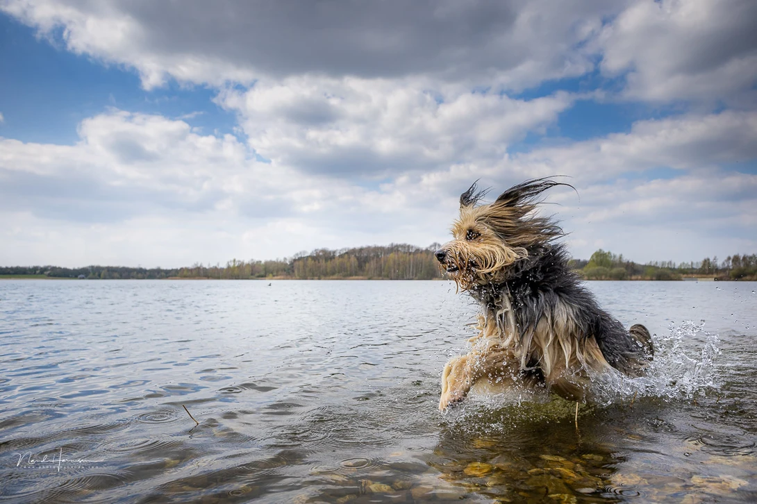 One of the images recorded with the RAW burst modes, saved as a raw file and edited in Lightroom Classic.