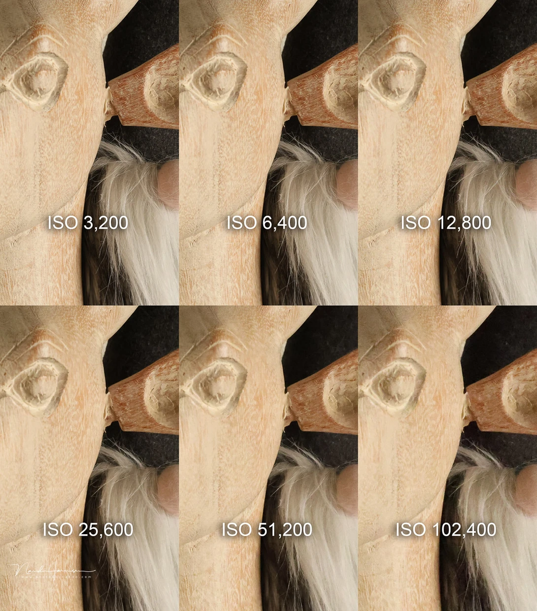 The ISO performance of the Canon EOS R8, these are 50% magnified parts of the images, with in-camera jpeg and standard sharpening and noise reduction.