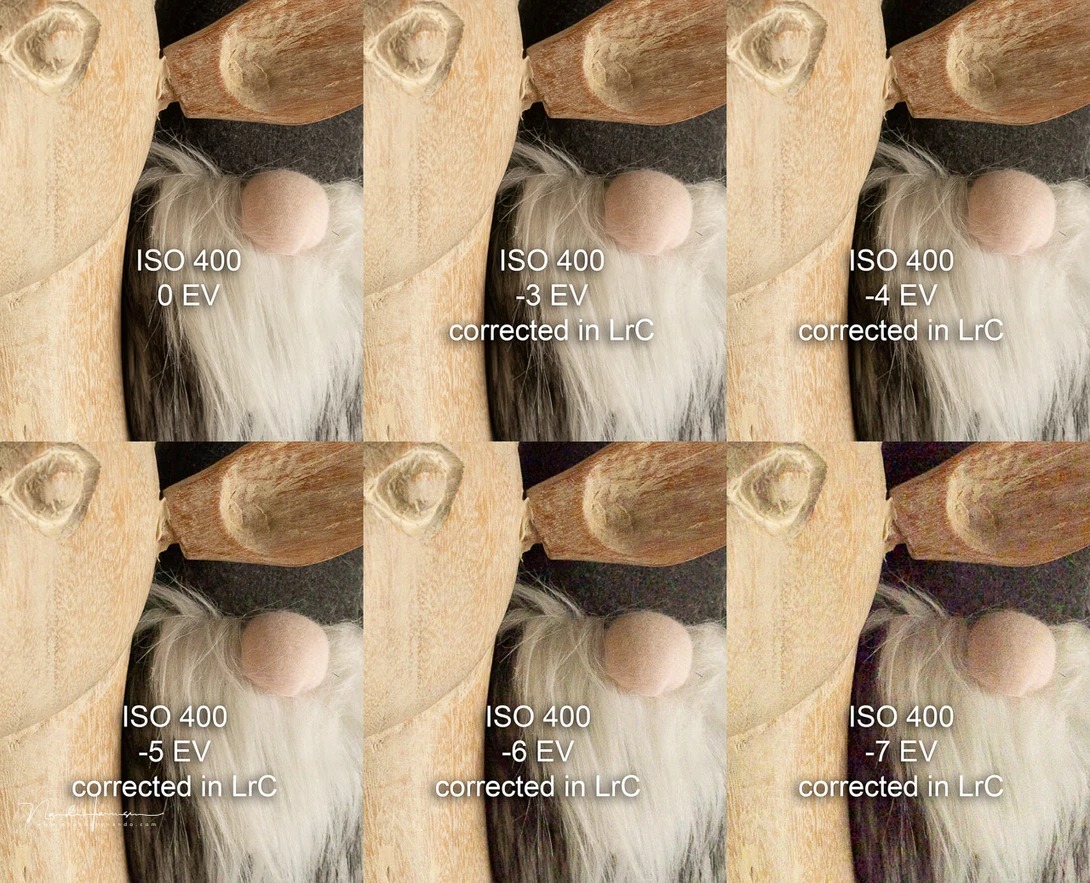 Under exposed craw images, corrected in Lightroom Classic without any additional noise reduction or sharpening applied. I would go as far to say that 5 stops shadow recovery is possible without problems.