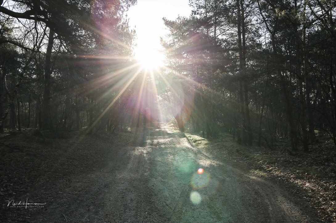 Flares with the sun directly in the frame. It is what you would expect with this kind of framing.