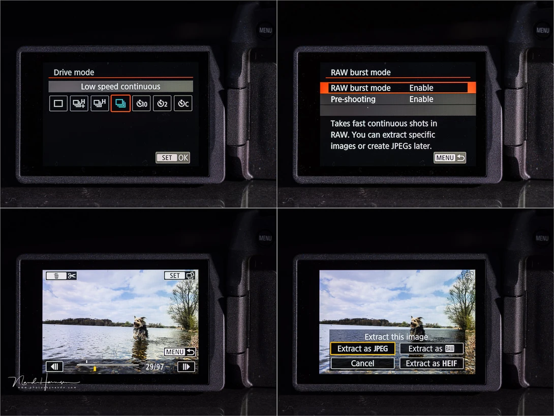 Although 6 fps is the maximum for the mechanical shutter, you can go as far as 40 fps with the electronic shutter. Or you can use pre-shooting with the raw burst mode