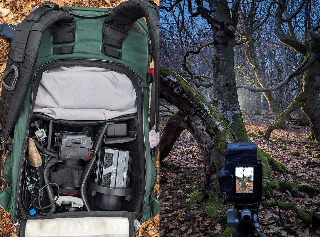 Colbor Moman Woodland