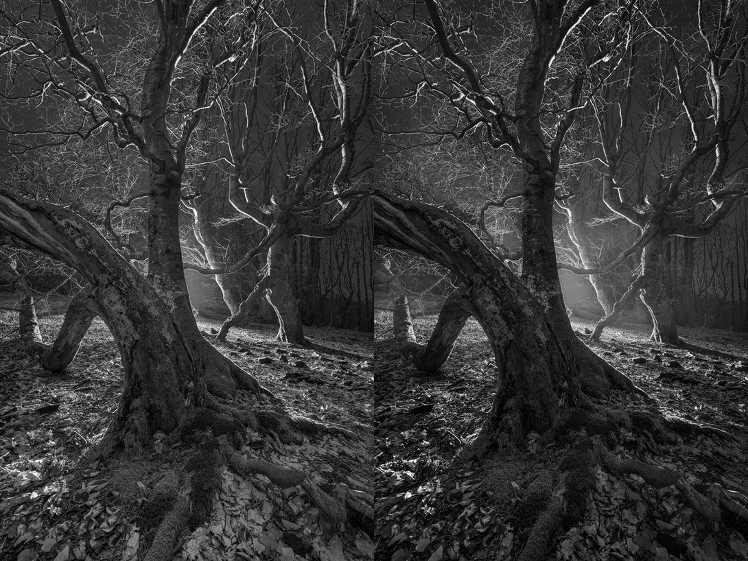 Black and White Conversion