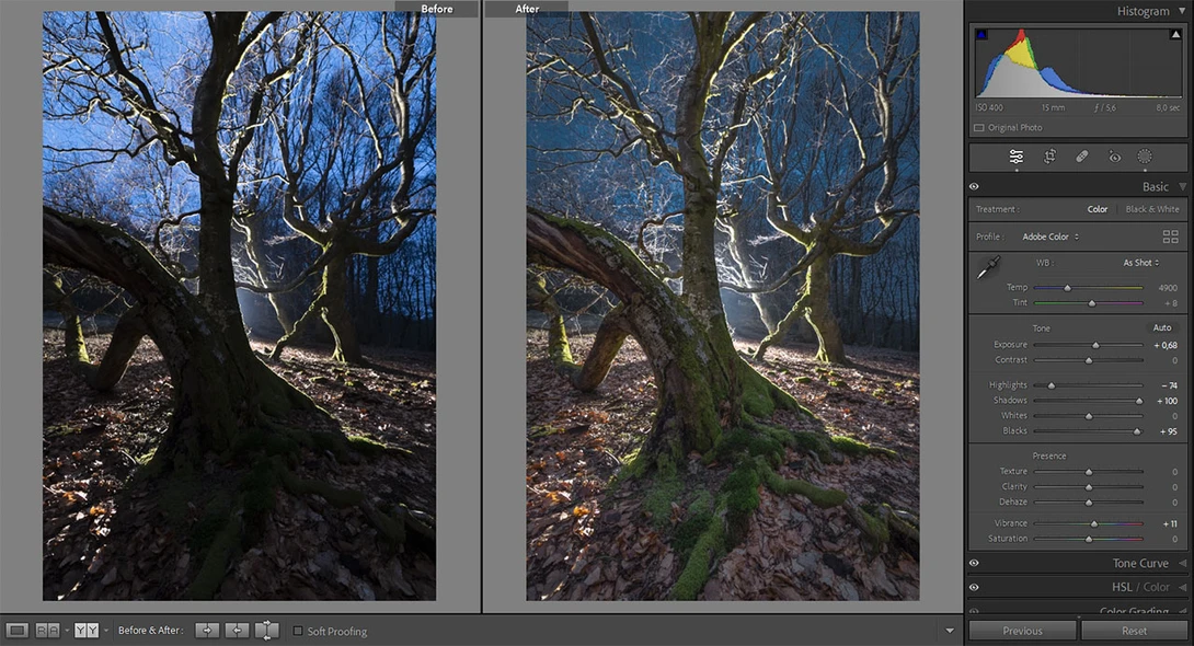 Lightroom Adjustments