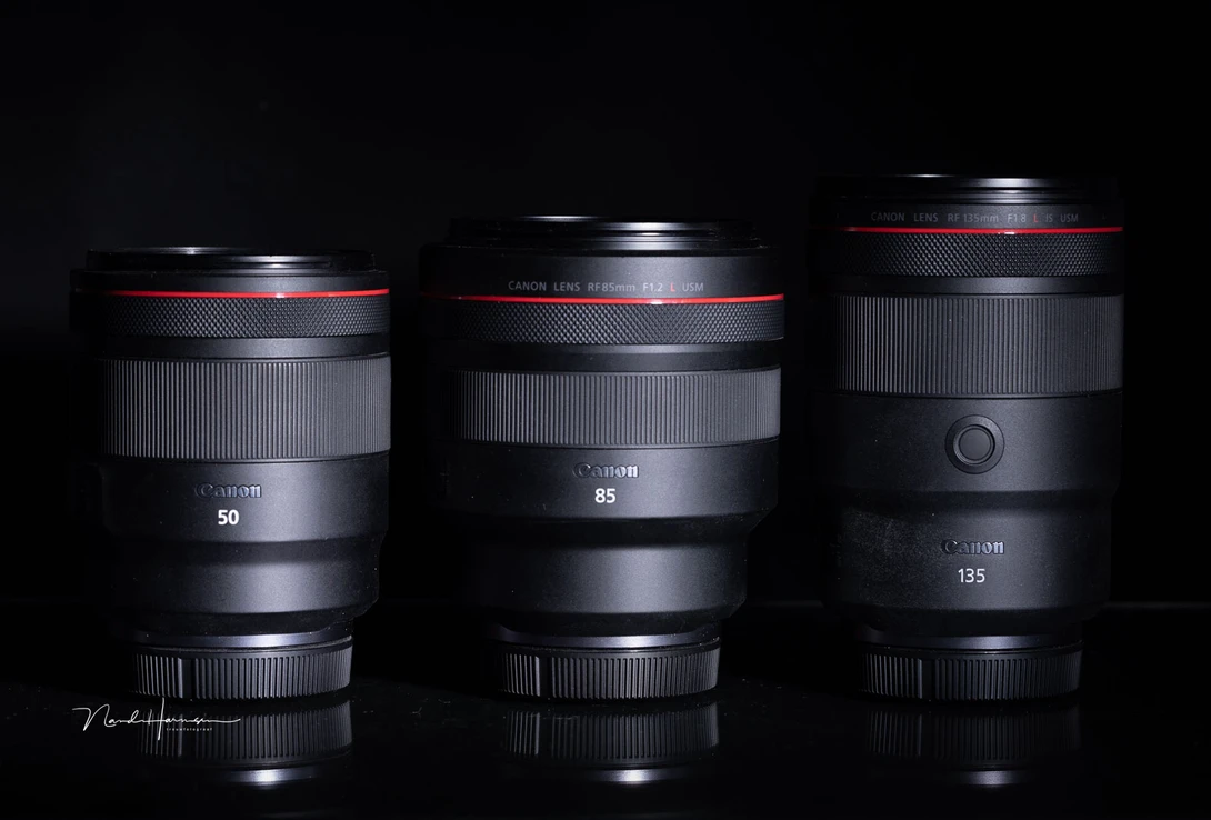 A comparison with its next of kin. If you own the 50mm or 85mm lens, you have an idea of the size.