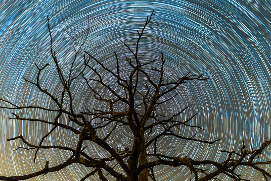 Be creative when composing your photo. Sometimes it's best to keep it simple.